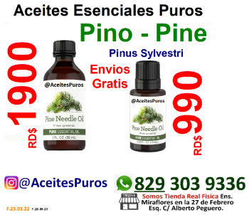 Aceite de pino esencial puro aromatico tienda de organicos