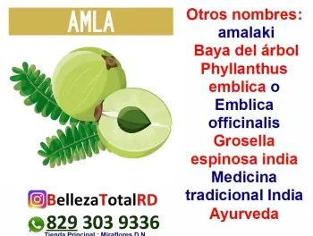 Polvo de amla grado comestible medicinal grosella india