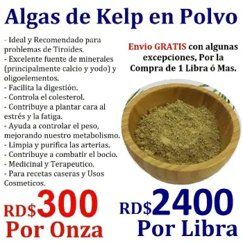 Algas de kelp plantas marinas para comer salud nutricion cos