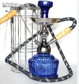 Hooka petit king