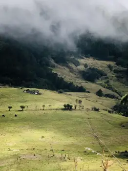 Excursión de constanza a guayabal