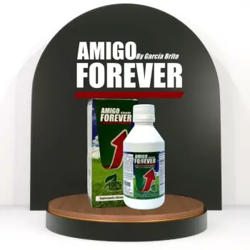 Amigo forever restaurador prostÁtico  y de la funciÓn erÉ