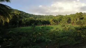 Hermoso terreno en monte plata