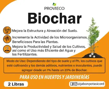 Biochar o carbón vegetal mejora el suelo para cultivos