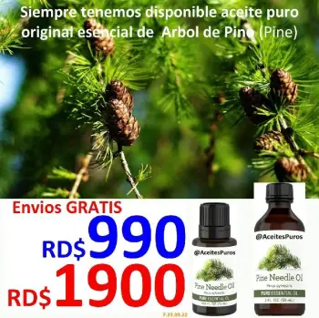 Olor a pino arbol de pine original perfume aceite