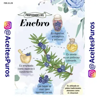 Enebro o juniper berry berries aceite esencial puro