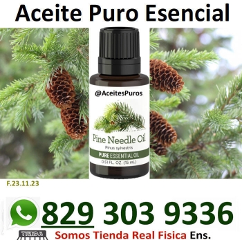 Aceite esencial puro original natural organico de pino pine