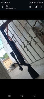 Rifle  cal.22 en la romana