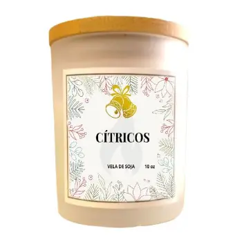 Vela aromÁtica de ctricos 10oz en la vega