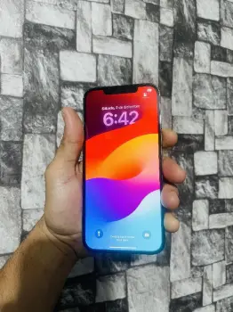 Iphone 12 pro max 128 gb factory