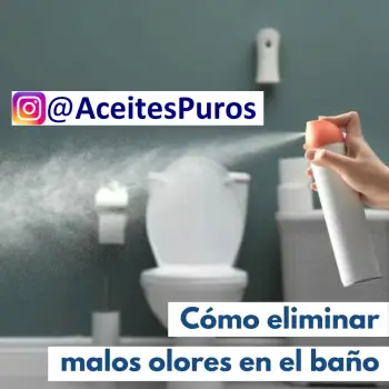 Eliminar los olores de las casas y oficinas aceites