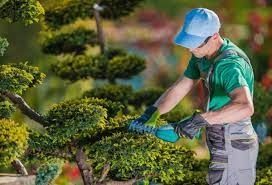 Solicitamos jardinero profesional completo