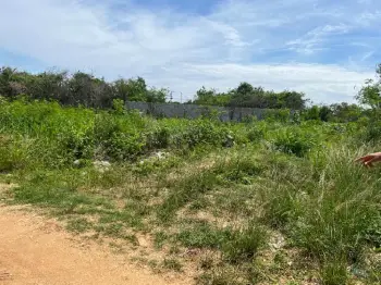 Se alquilan solares en santo domingo este ciudad juan bosch ecologica