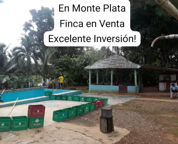 En monte plata finca en venta 67 tareas