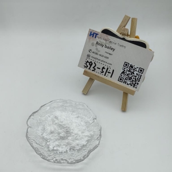 Cas593-51-1methylamine hydrochloride with high purity.86 18186203200