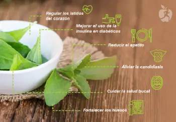 Llego el azucar para diabeticos la stevia lo mejor que hay