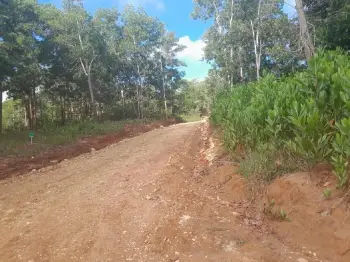 Descubre la Belleza de Boya Monte Plata para tu Proyecto de Fincas