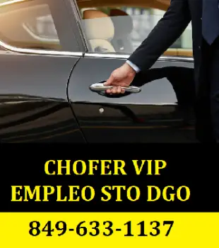 Chofer empleo vip