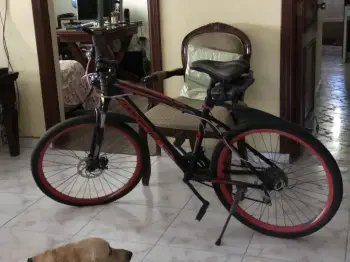 Bicicleta en venta