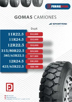 Gomas de camion