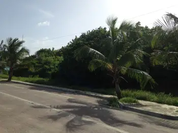 Solar parcela en costa boca chica comercial o residencial