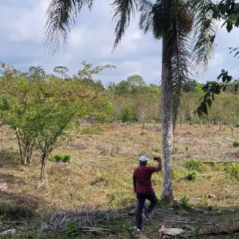 Vendo finca en monte plata a 5 minutos de la carretera de samaná