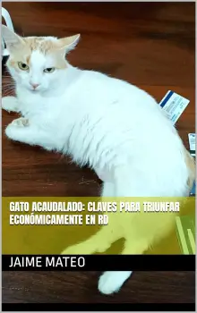 Gato acaudalado claves para triunfar económicamente en rd