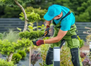 Empleo jardinero