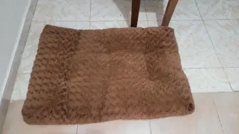 Cama para perro