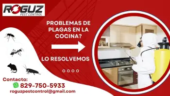 Servicios de control de plagas