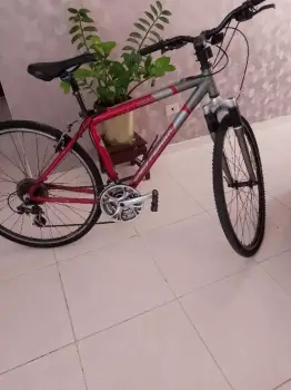 Vendo bicicleta