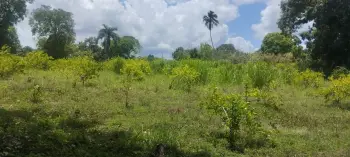 Finca en venta monte plata 70