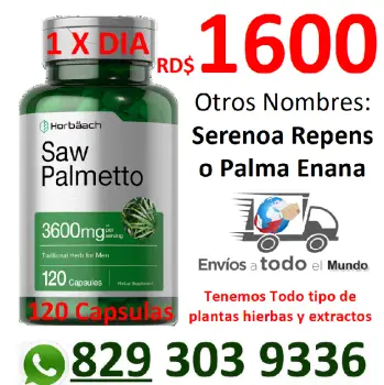 Saw palmetto plantas hierbas medicina natural venta de productos para