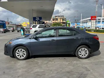 Toyota corolla lx 2019