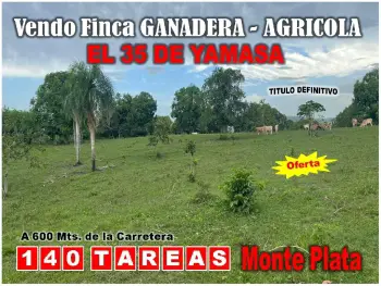 Vendo finca ganadera – agricola de 140 tareas en el 35 de yamasa de op