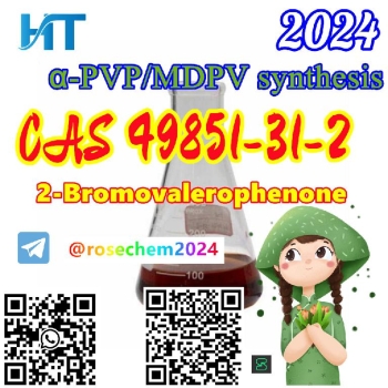 2-bromovalerophenone cas 49851-31-2 with high purity safe  fast shippi