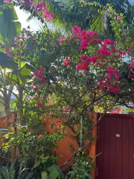 Gazcue unibe apec uce alquiler apartamentos amueblados de 1 habitacion