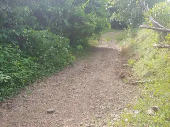 Se vende bonita tierra en el ingenio bonao es una finca de 206 tareas