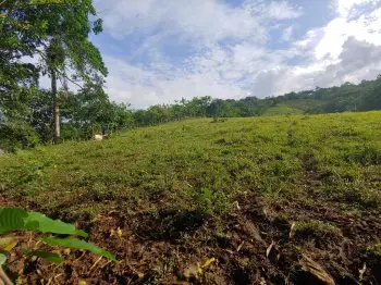 Se vende preciosa tierra en blanco bonao es una finca de 55 tareas de