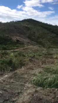 Finca de oportunidad en la entrada de los martinez ocoa