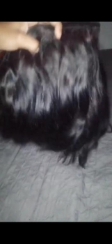 3 paquetes y medio de pelo coge tinte y blower 2900 pesos 8096052672