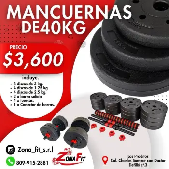 Mancuernas de 40 30  20 kilo