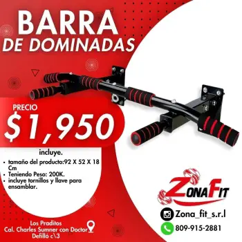 Barra de dominadas