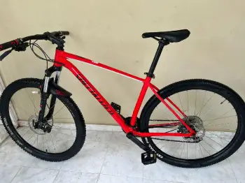 Specialized rockhopper l
