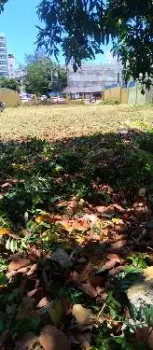Terreno en venta en la 27 de febrero en el millón