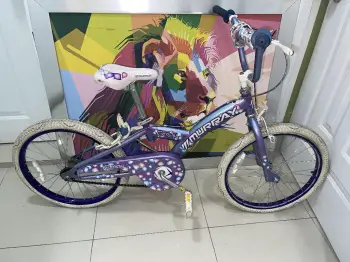 Bicicleta aro 16” en santo domingo este