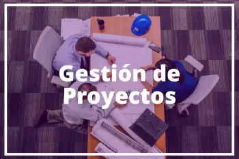 Optimiza tu proyecto con nuestros servicios de gestión