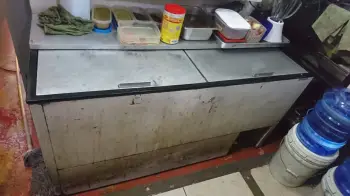 Frezer congelador