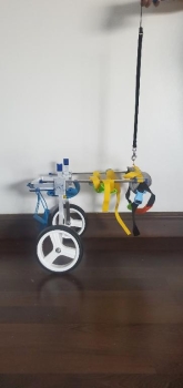 Silla de rueda ajustable para perros