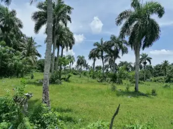 Bayaguana guerra venta de solar